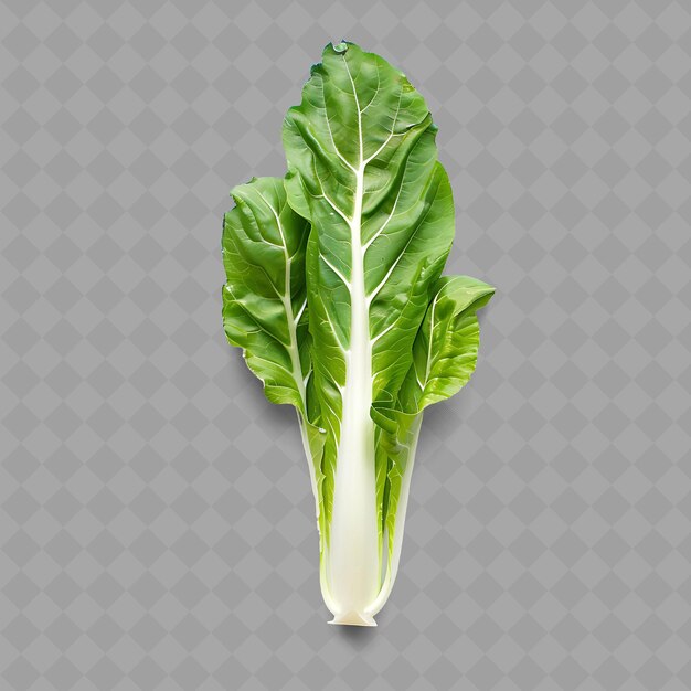 PSD 透明な背景の背景で緑の葉の野菜の写真