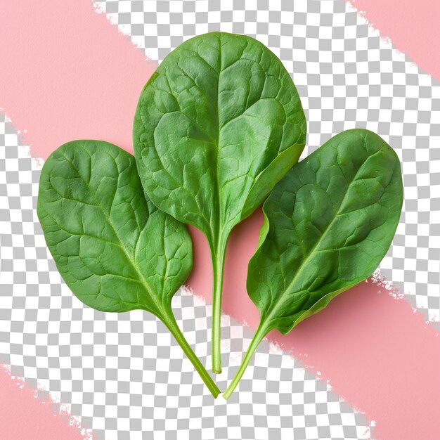 PSD a picture of spinach on a checkered background with a pink and white checkered background