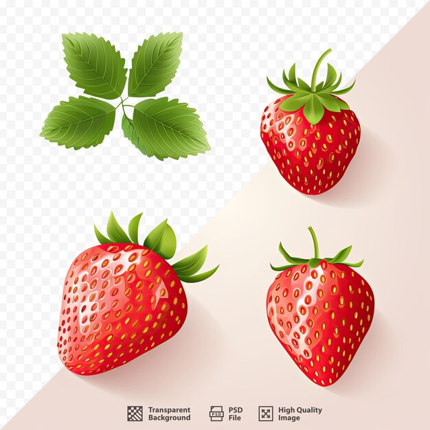 PSD 분홍색 배경의 딸기 사진.