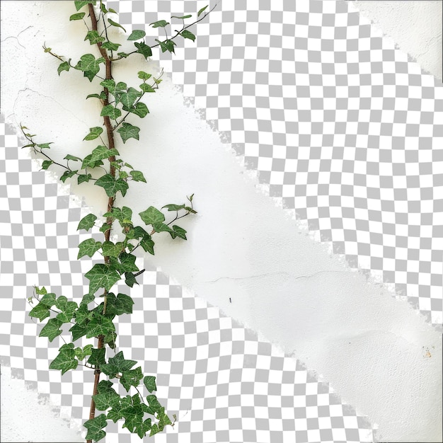 PSD 緑の茎を持つ植物がチェックの背景に示されています