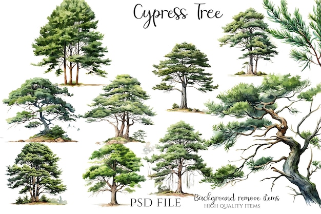 PSD コンピュータラボのポスターには木が描かれています