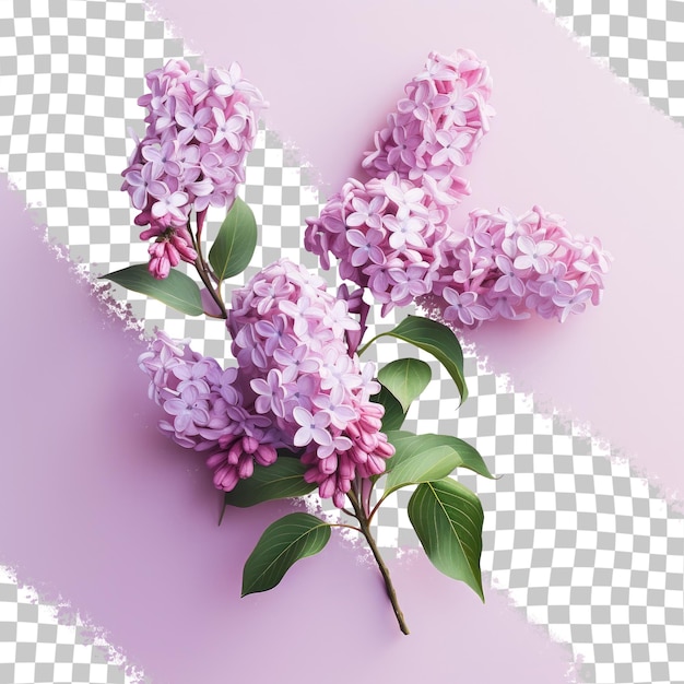 Rの文字が入った紫色の花