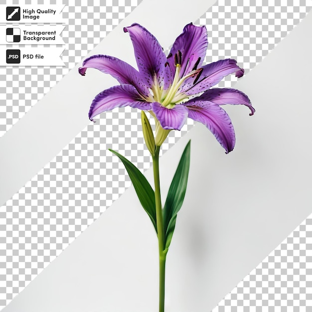 PSD Фиолетовый цветок со словами название компании внизу