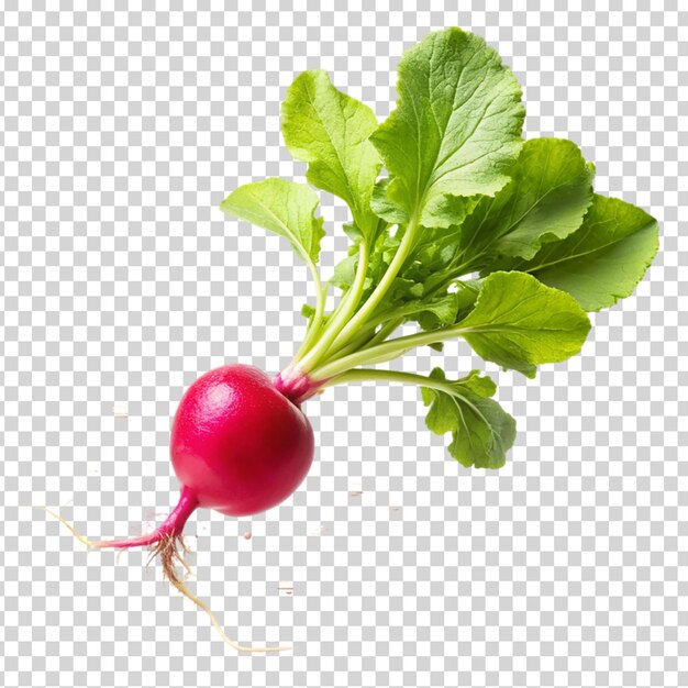 PSD a red beet with green leaves on transparent background