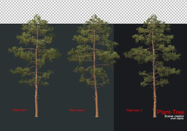 A set of trees with the text " plante " on the left.