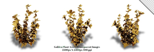PSD Потрясающий 3d-рендеринг золотого растения, который добавит богатство и элегантность любому дизайну.