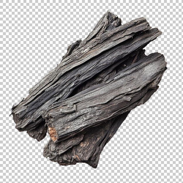 A tree stump isolated on transparent background