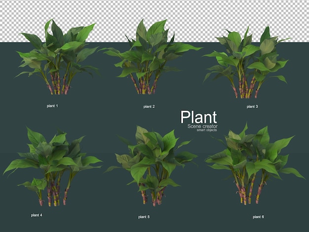 PSD さまざまな装飾用の木