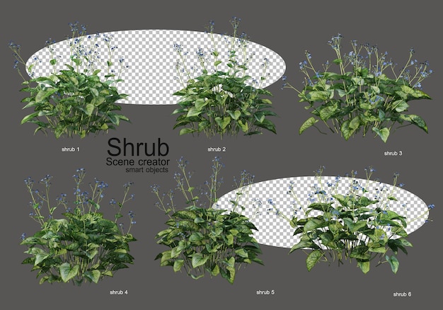 PSD さまざまな低木や花