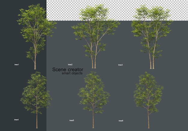 A variety of trees with few leaves