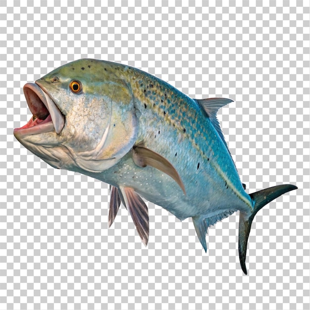 a vibrant detailed photograph of a giant trevally fish in its natural habitat