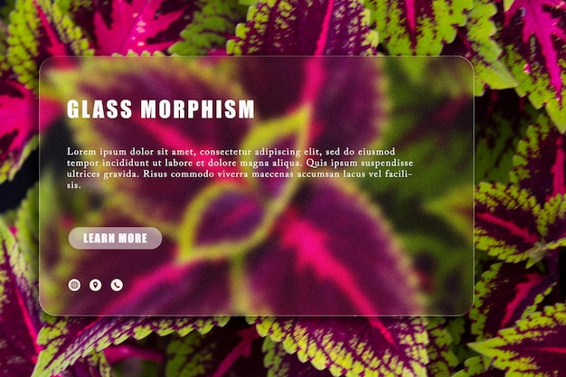 A web page with a purple and green leafy plant.