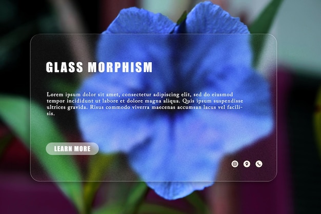 A website that says'glass morphim'on it