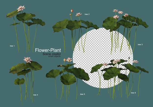 さまざまな形の花や植物の多種多様