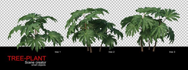 A wide variety of trees and shrubs