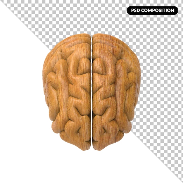 a wooden brain isolated 3d rendering