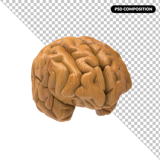 a wooden brain isolated 3d rendering