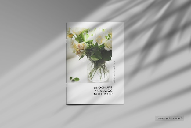 a4 cover brochure catalog mockup design