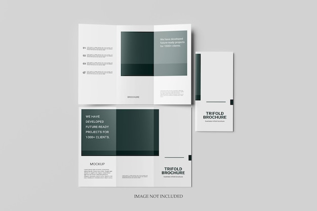 A4 trifold brochure mockup