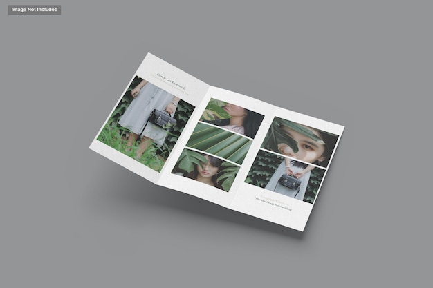 a4 trifold mockup
