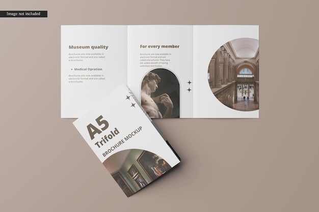 A5 trifold brochure mockup