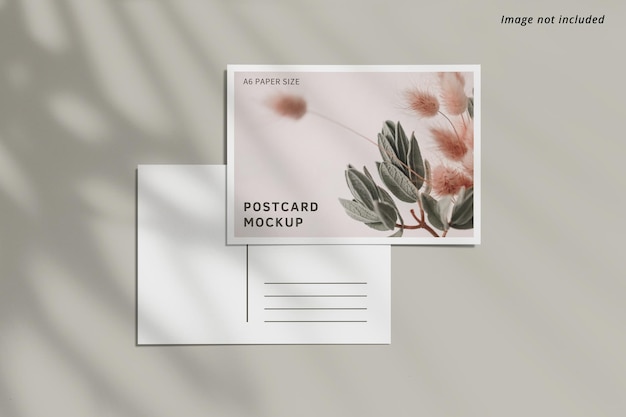 A6 postcard mockup design