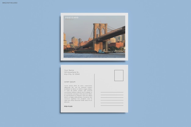 a6 postcard mockup