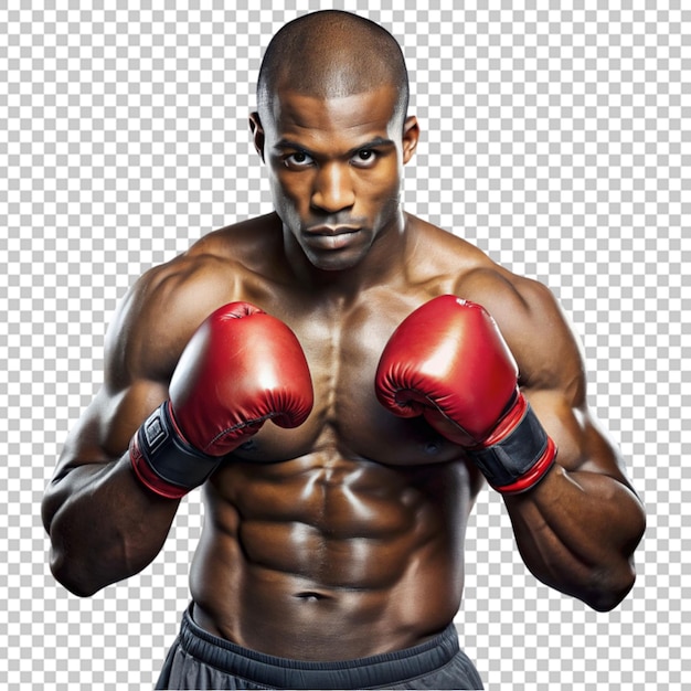 PSD aantrekkelijke afro-amerikaanse bokser.