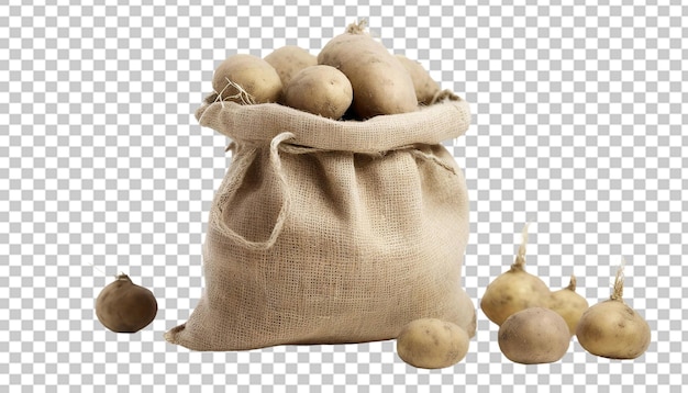 Aardappelen in een zakkenzak, geïsoleerd op een doorzichtige achtergrond
