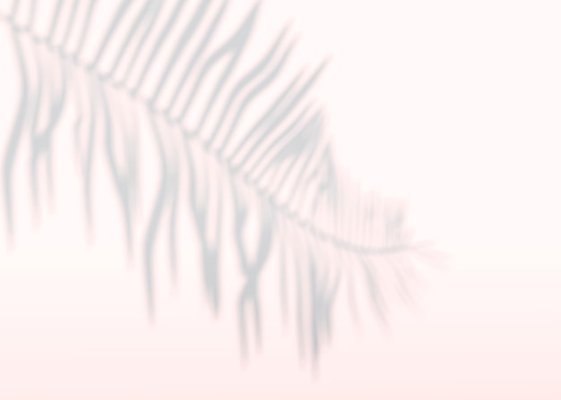 Abstract background of shadows palm leaves on a wall. 3d rendering.