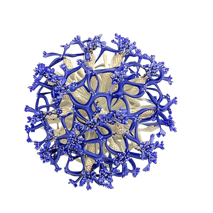 PSD abstract blue and white flower cluster