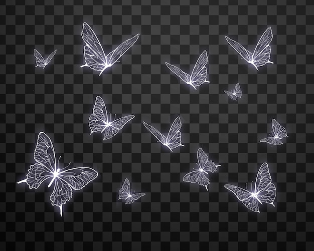 abstract dark background with butterflies insects glow light shine flashes