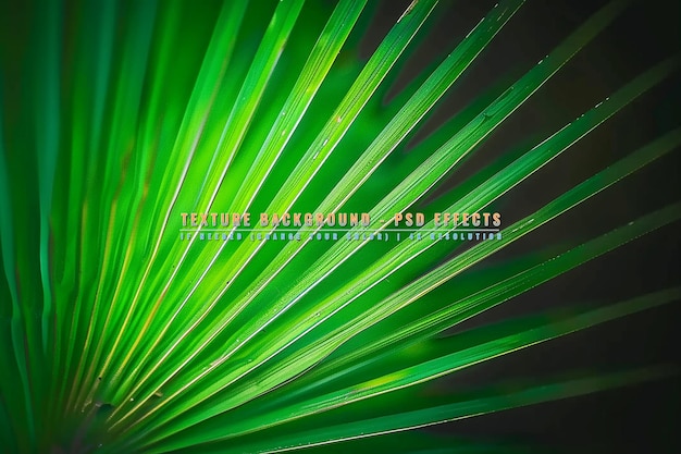 PSD abstract motion background with dynamic lines design on transparent background
