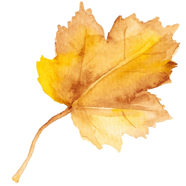 Абстрактная акварельная иллюстрация осенних листьев ручной обращается элементы дизайна природы, изолированные на белом фоне