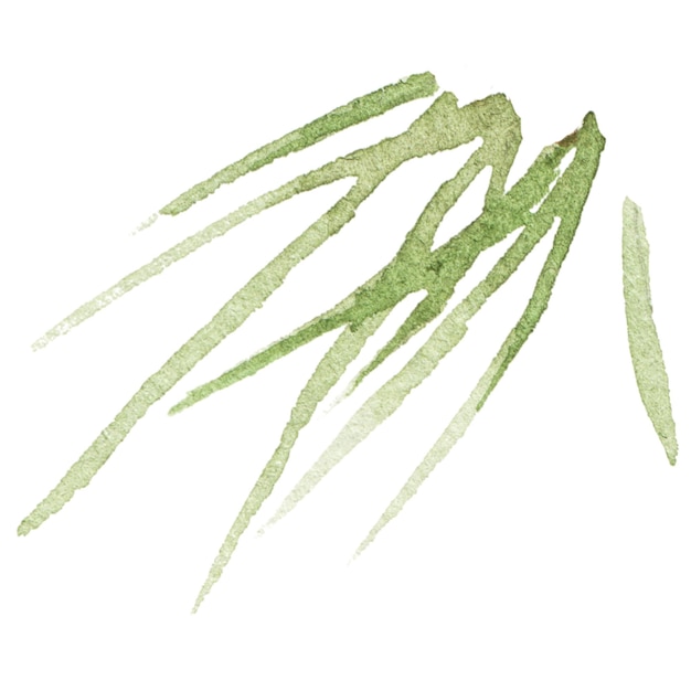 PSD 소나무 바늘의 추상 수채화 그림 손으로 그린 자연 디자인 요소 흰색 배경에 고립