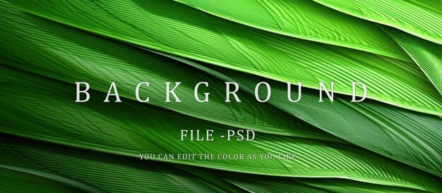 PSD abstrakcyjna tekstura zielone liście tło