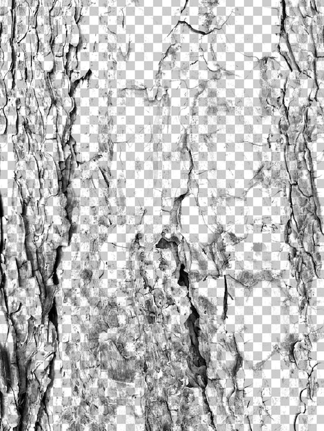 Abstrakcyjny grunge czarno-biały stresujący tekstura nakładka efekt element projektu hałasu tła