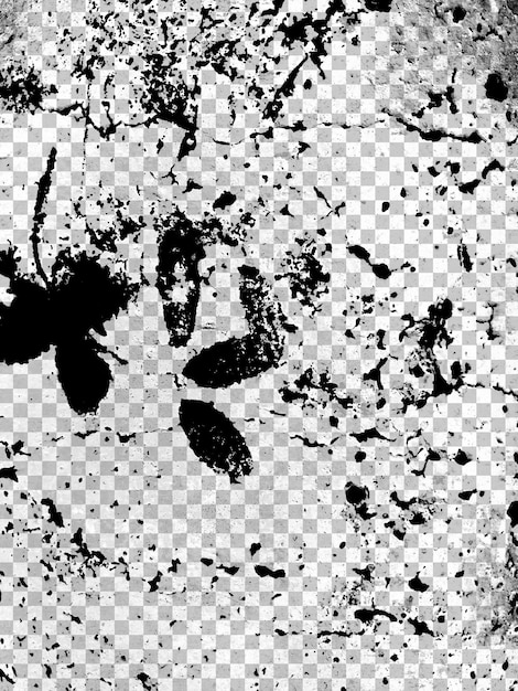 Abstrakt grunge svartvit nödställd textur överlägg effekt designelement brus bakgrund
