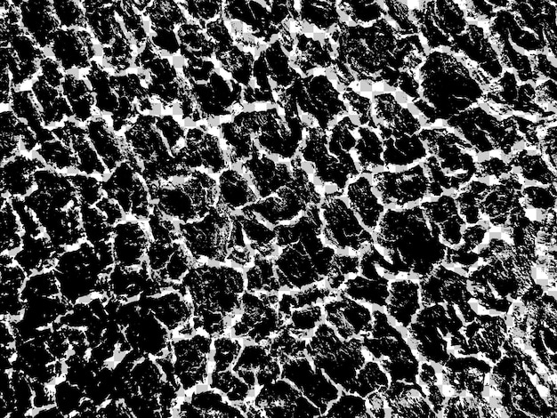 Abstrakt sort og hvid grunge tekstur overlay effekt designelement støjbaggrund