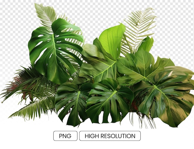 PSD abundant floral growth and bushy greenery in a tropical wilderness
