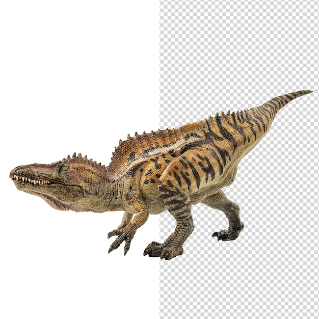 흰색 바탕에 Acrocanthosaurus 공룡