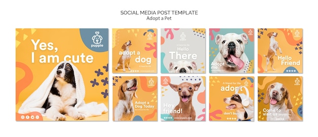 PSD adopt a pet social media post