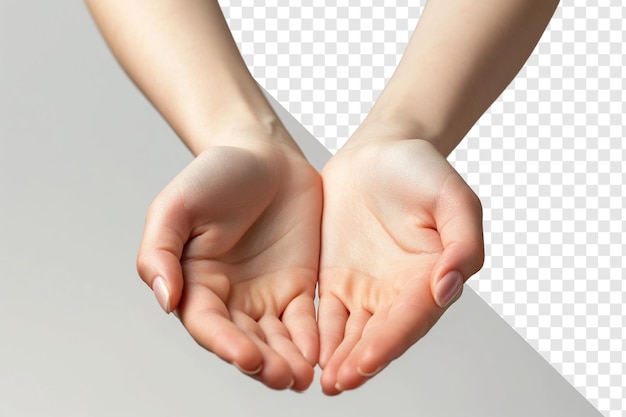 PSD advertising photo of female hands on transparent background