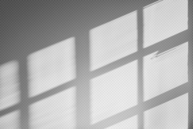 aesthetic background with shadow on plain wall during golden hour psd
