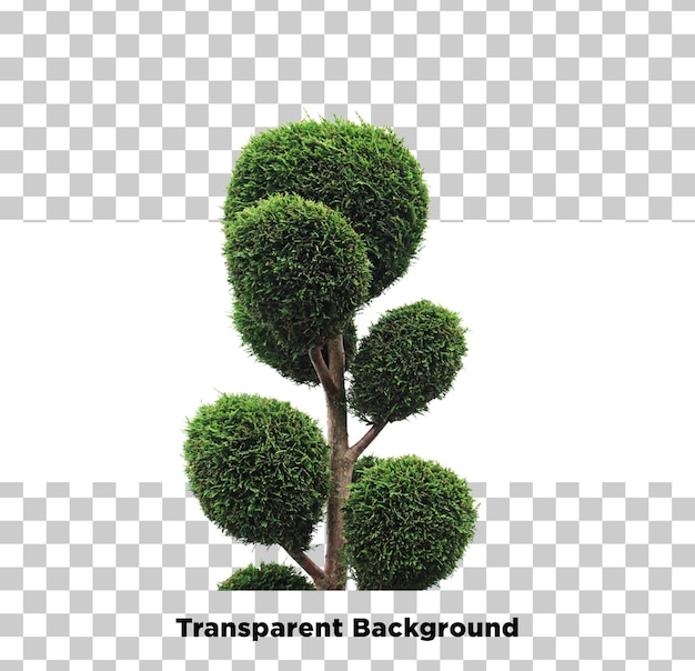 PSD aesthetic plant transparent background