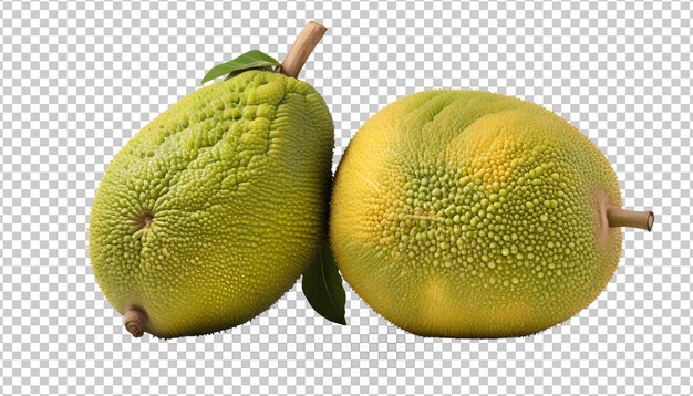 PSD african breadfruit soursop on an isolated background 3d png