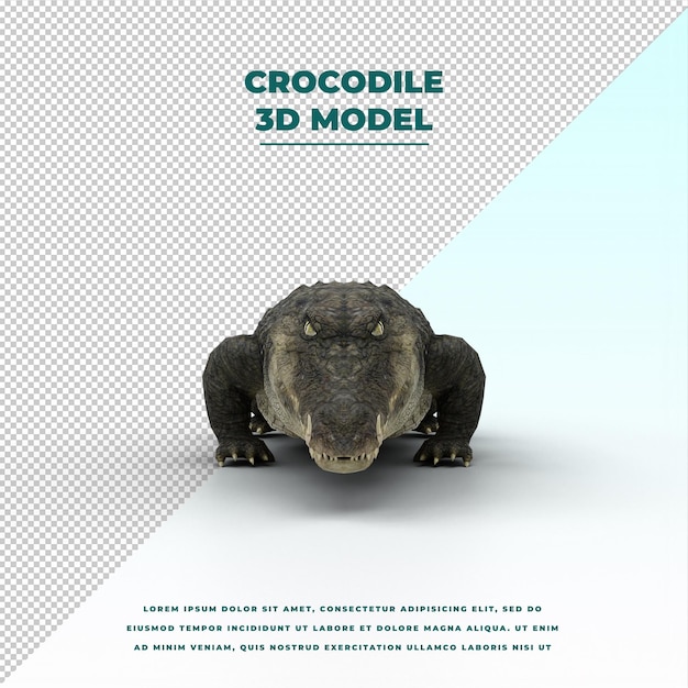 African crocodile isolated