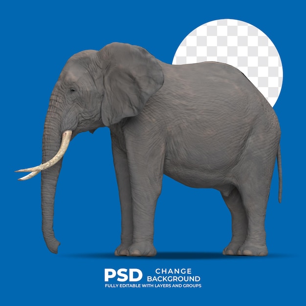 African elephant 3D illustration side view