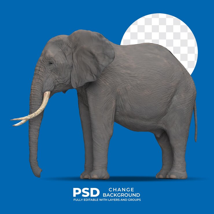PSD 아프리카 코끼리 3d 일러스트레이션 측면 뷰