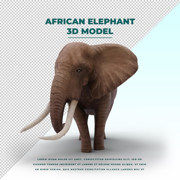 PSD african elephant isolated